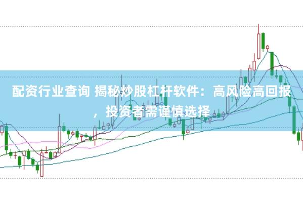 配资行业查询 揭秘炒股杠杆软件:高风险高回报,投资者需谨慎选择