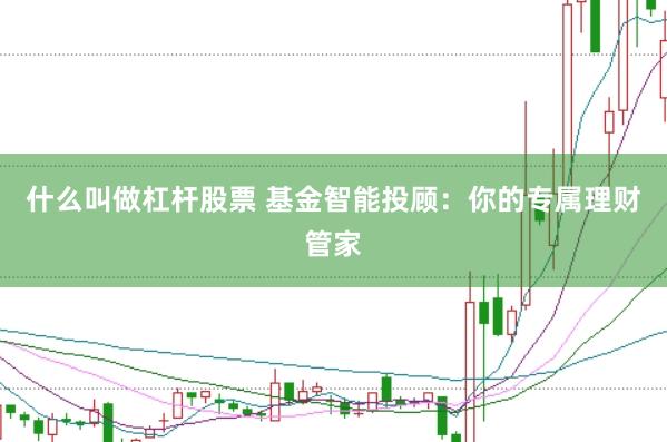 什么叫做杠杆股票 基金智能投顾:你的专属理财管家