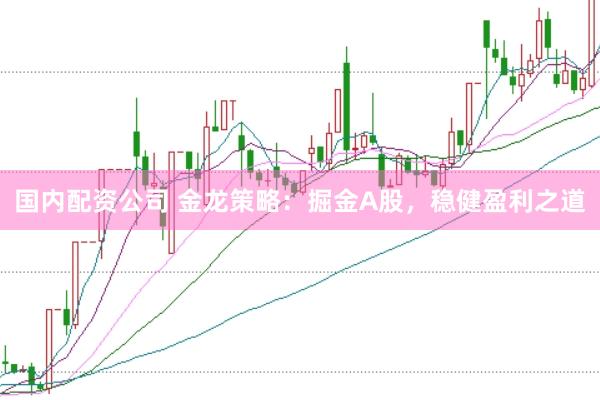 国内配资公司 金龙策略:掘金A股,稳健盈利之道