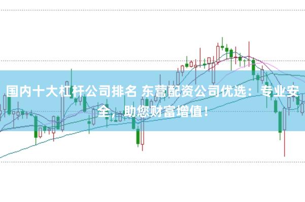 国内十大杠杆公司排名 东营配资公司优选:专业安全,助您财富增值!