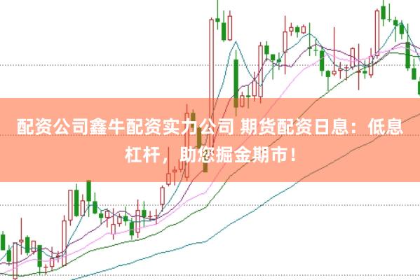 配资公司鑫牛配资实力公司 期货配资日息:低息杠杆,助您掘金期市!